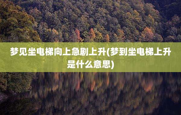 梦见坐电梯向上急剧上升(梦到坐电梯上升是什么意思)