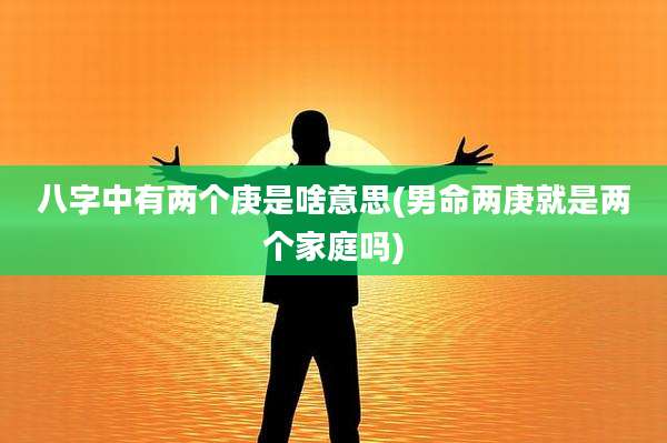 八字中有两个庚是啥意思(男命两庚就是两个家庭吗)