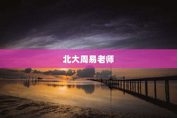 北大周易老师