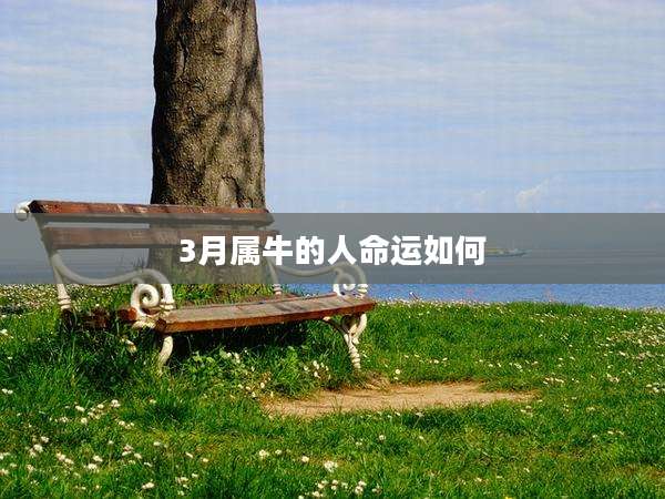 3月属牛的人命运如何
