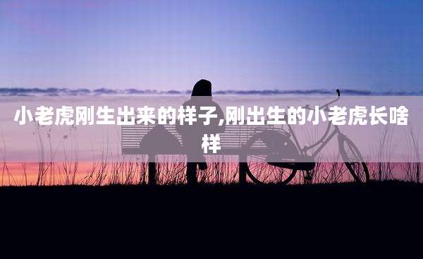小老虎刚生出来的样子,刚出生的小老虎长啥样