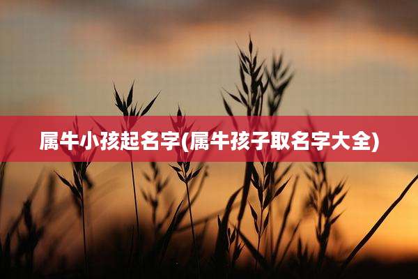属牛小孩起名字(属牛孩子取名字大全)