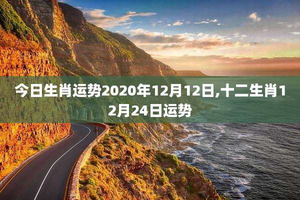 今日生肖运势2020年12月12日,十二生肖12月24日运势