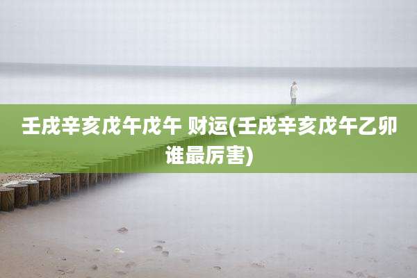 壬戌辛亥戊午戊午 财运(壬戌辛亥戊午乙卯谁最厉害)