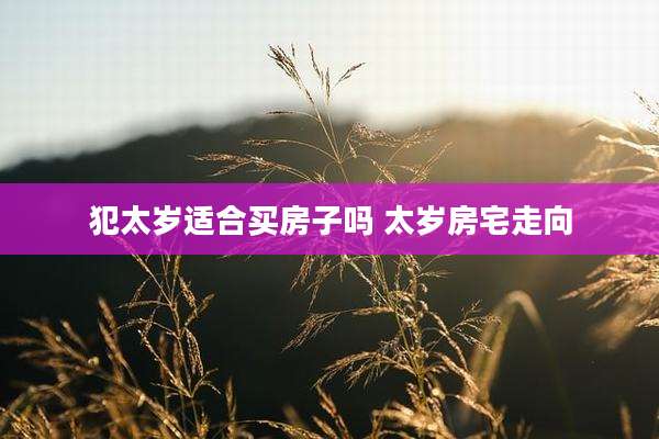 犯太岁适合买房子吗 太岁房宅走向