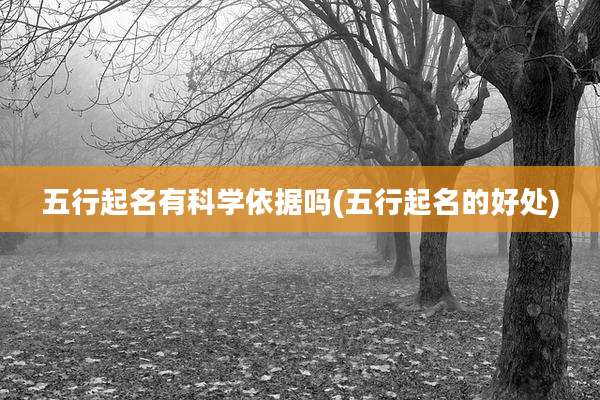 五行起名有科学依据吗(五行起名的好处)