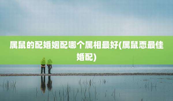 属鼠的配婚姻配哪个属相最好(属鼠恧最佳婚配)