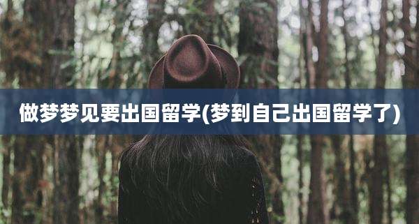 做梦梦见要出国留学(梦到自己出国留学了)