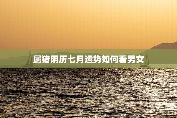 属猪阴历七月运势如何看男女