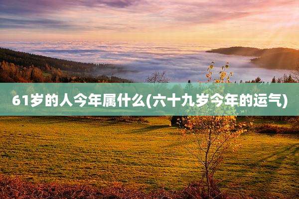 61岁的人今年属什么(六十九岁今年的运气)