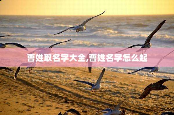 曹姓取名字大全,曹姓名字怎么起