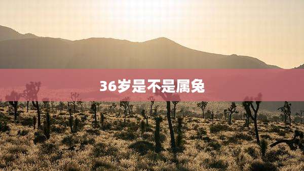 36岁是不是属兔