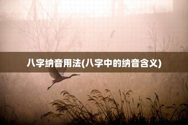 八字纳音用法(八字中的纳音含义)