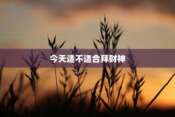 今天适不适合拜财神