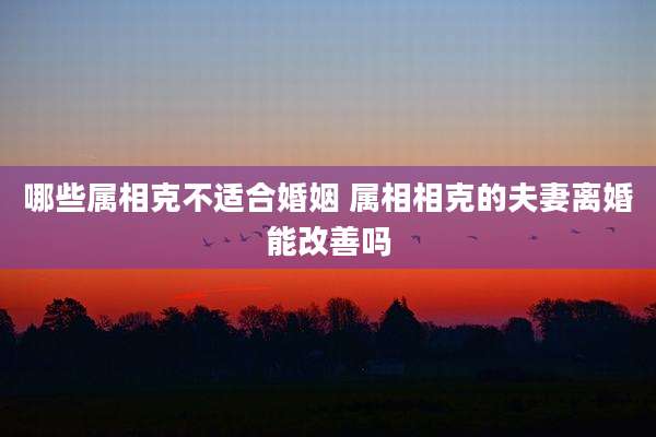 哪些属相克不适合婚姻 属相相克的夫妻离婚能改善吗