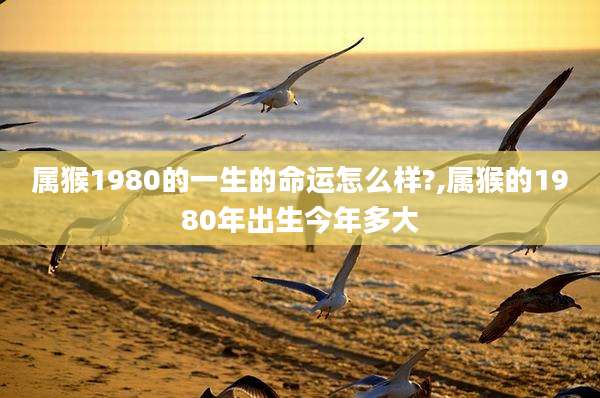 属猴1980的一生的命运怎么样?,属猴的1980年出生今年多大