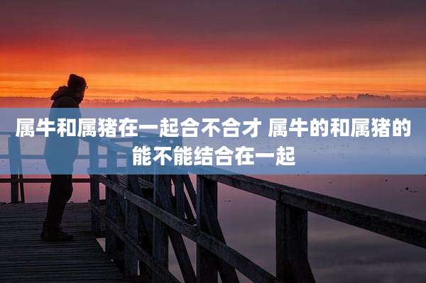 属牛和属猪在一起合不合才 属牛的和属猪的能不能结合在一起