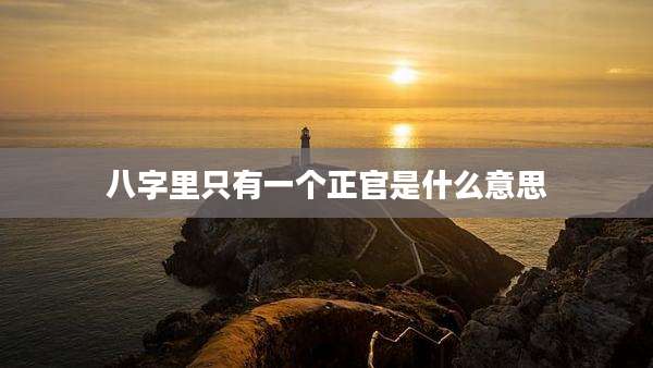 八字里只有一个正官是什么意思