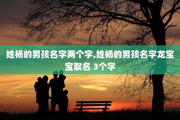姓杨的男孩名字两个字,姓杨的男孩名字龙宝宝取名 3个字