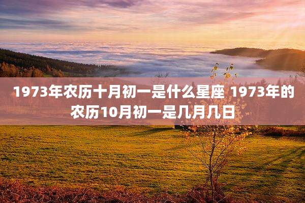 1973年农历十月初一是什么星座 1973年的农历10月初一是几月几日