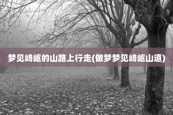 梦见崎岖的山路上行走(做梦梦见崎岖山道)
