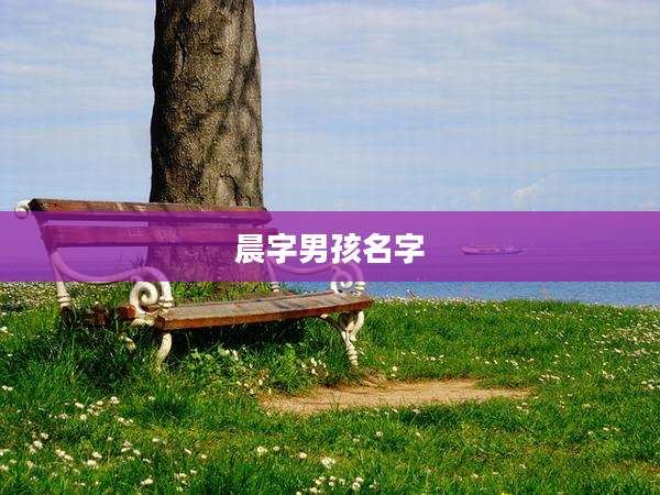 晨字男孩名字