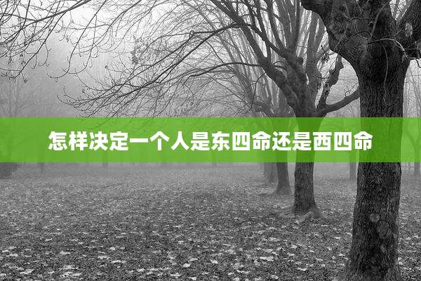 怎样决定一个人是东四命还是西四命
