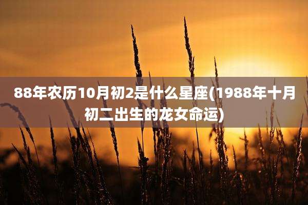 88年农历10月初2是什么星座(1988年十月初二出生的龙女命运)
