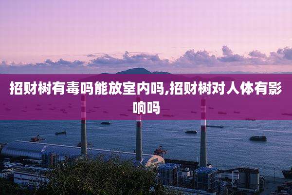 招财树有毒吗能放室内吗,招财树对人体有影响吗