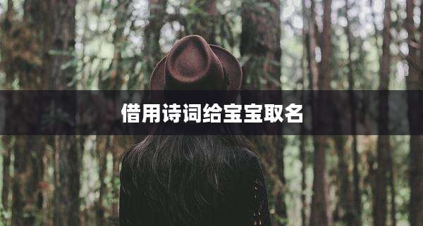 借用诗词给宝宝取名