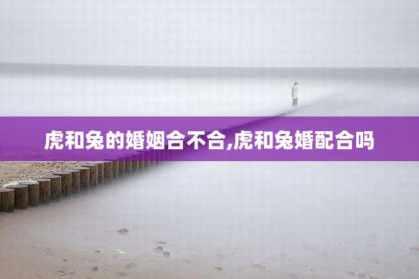 虎和兔的婚姻合不合,虎和兔婚配合吗