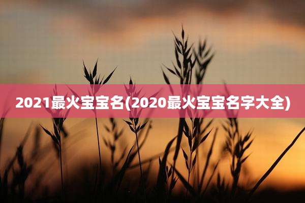 2021最火宝宝名(2020最火宝宝名字大全)