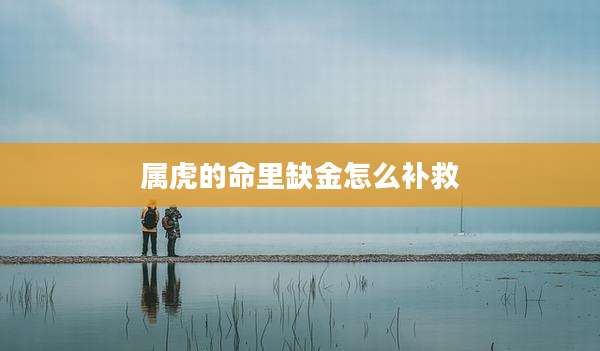 属虎的命里缺金怎么补救