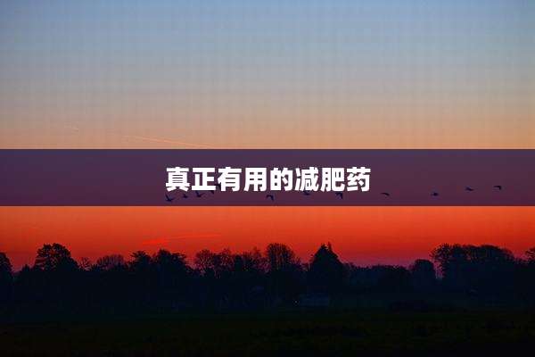 真正有用的减肥药