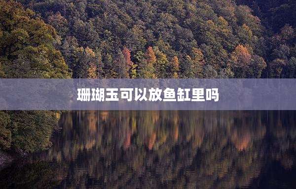 珊瑚玉可以放鱼缸里吗