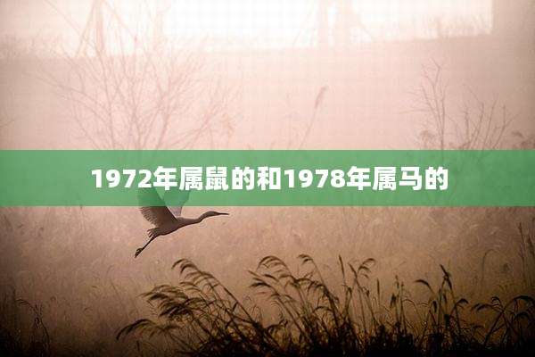 1972年属鼠的和1978年属马的