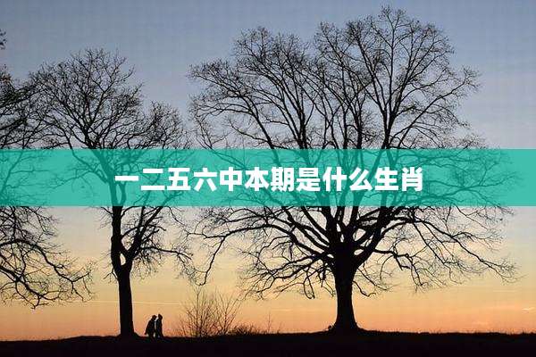 一二五六中本期是什么生肖
