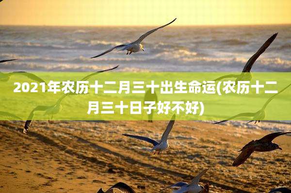 2021年农历十二月三十出生命运(农历十二月三十日子好不好)