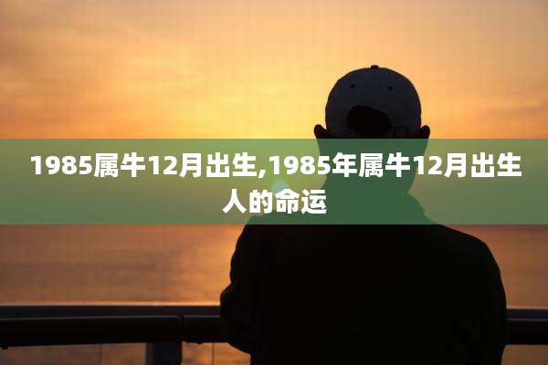1985属牛12月出生,1985年属牛12月出生人的命运