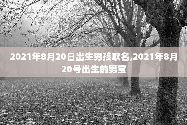 2021年8月20日出生男孩取名,2021年8月20号出生的男宝