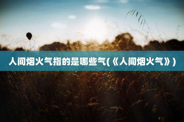 人间烟火气指的是哪些气(《人间烟火气》)