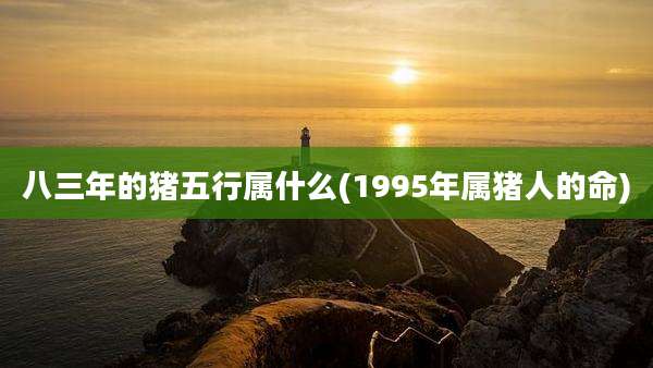 八三年的猪五行属什么(1995年属猪人的命)