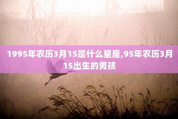 1995年农历3月15是什么星座,95年农历3月15出生的男孩