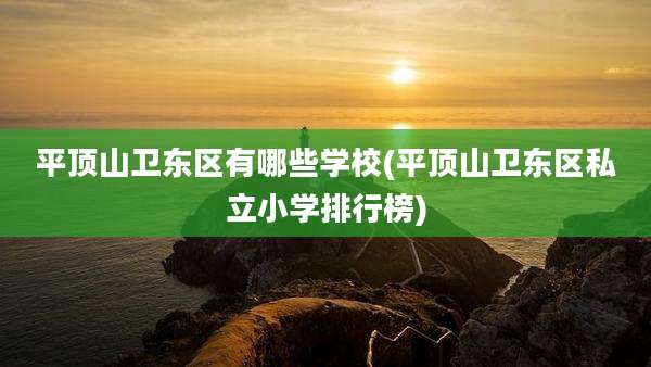 平顶山卫东区有哪些学校(平顶山卫东区私立小学排行榜)