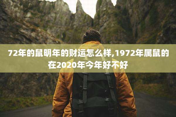 72年的鼠明年的财运怎么样,1972年属鼠的在2020年今年好不好