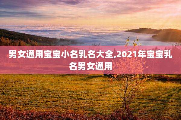 男女通用宝宝小名乳名大全,2021年宝宝乳名男女通用