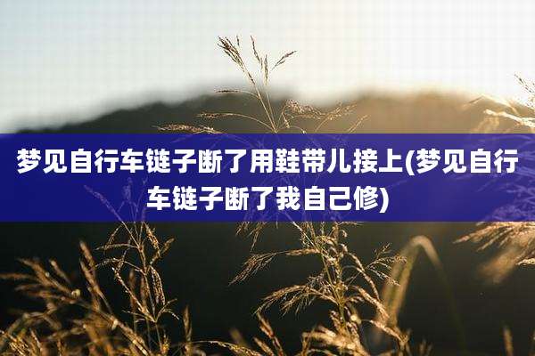 梦见自行车链子断了用鞋带儿接上(梦见自行车链子断了我自己修)