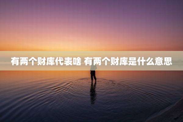 有两个财库代表啥 有两个财库是什么意思