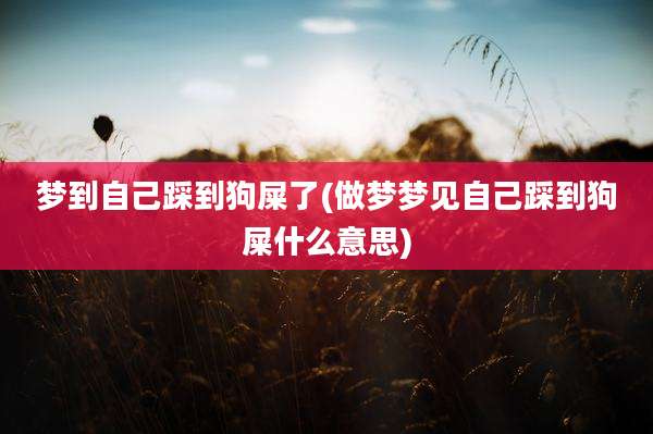 梦到自己踩到狗屎了(做梦梦见自己踩到狗屎什么意思)
