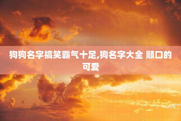 狗狗名字搞笑霸气十足,狗名字大全 顺口的可爱